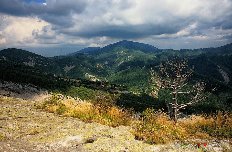 Белинташ
