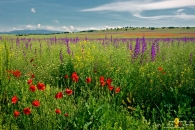 Име на файл=04_06_2011-08-38-Klisura.jpg
Размер на файл=195KB
Размери=950x634
Дата на добавяне=Август 09 2011 04_06_2011-08-38-Klisura.jpg