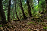 21-08-2010-11-00-trigrad.jpg