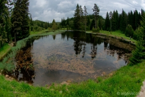 Малък-беглик.язовир.Широка-поляна.езеро.вода37