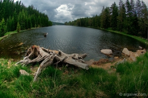 Малък-беглик.язовир.Широка-поляна.езеро.вода38