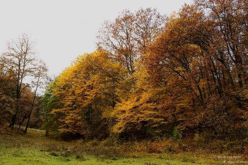 2009-10-31-09-46-11-velingrad