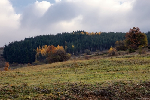 2009-11-01-08-27-28-velingrad