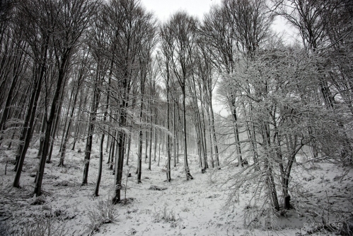 2010-01-02-10-15-47-belogradchik