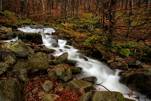 2010-01-02-10-38-20-belogradchik
