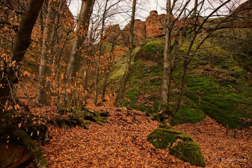 2010-01-02-14-12-38-belogradchik