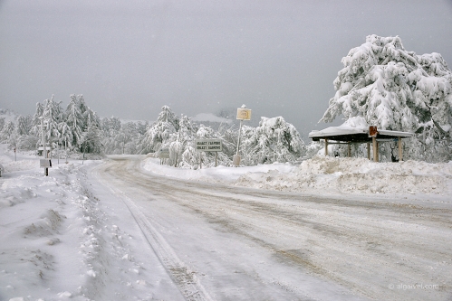 2010-01-23-14-00-27-shipka-i-smolian