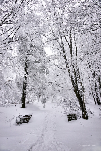 2010-01-23-14-16-14-shipka-i-smolian
