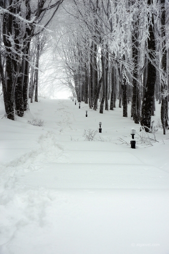 2010-01-23-14-19-20-shipka-i-smolian
