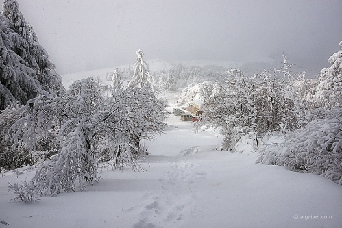 2010-01-23-15-01-22-shipka-i-smolian