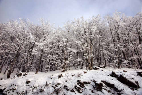 2010-01-23-15-54-04-shipka-i-smolian
