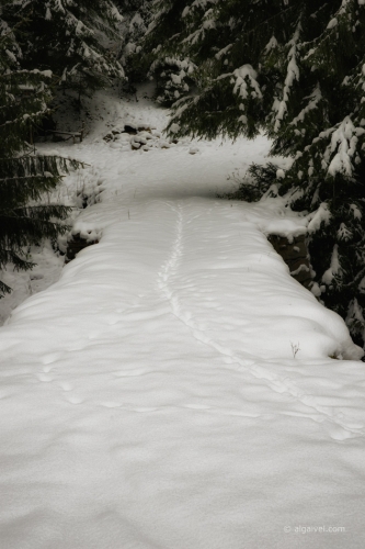 2010-01-24-14-42-06-shipka-i-smolian