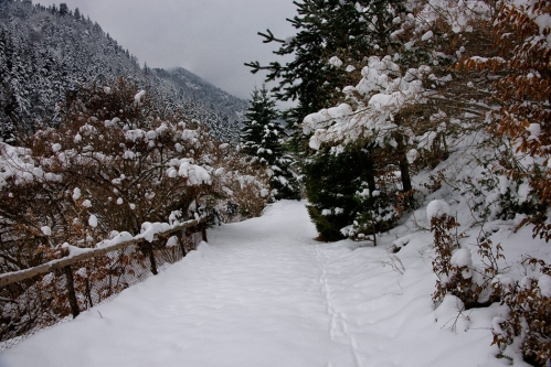 2010-01-24-15-20-35-shipka-i-smolian