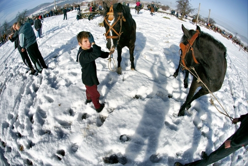 2010-02-20-10-12-10-todorov-den-rakitovo