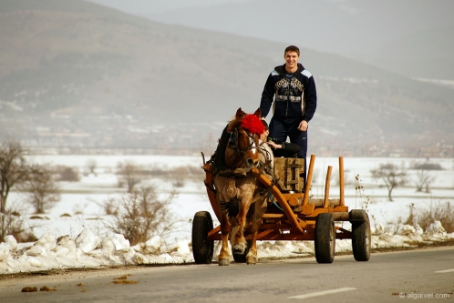 2010-02-20-11-04-37-todorov-den-rakitovo