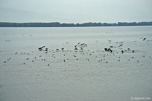 2010-04-24-11-17-36-kerkini