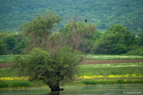 2010-04-24-11-50-34-kerkini
