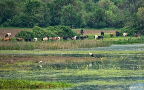 2010-04-24-12-00-06-kerkini