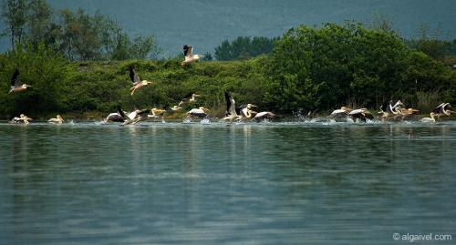 2010-04-24-12-06-13-kerkini
