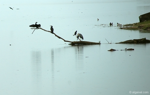 2010-04-24-12-08-01-kerkini
