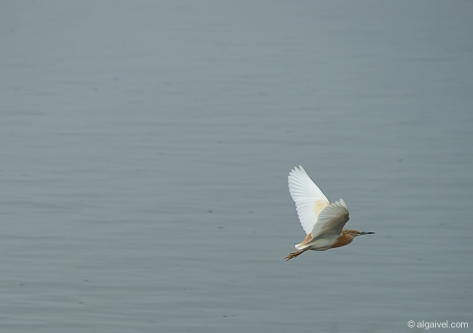 2010-04-24-12-38-57-kerkini