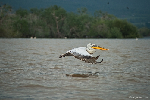 2010-04-24-14-03-25-kerkini