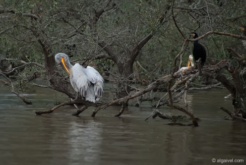 2010-04-24-14-09-13-kerkini