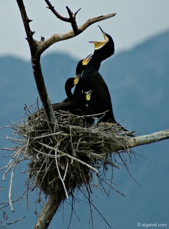 2010-04-24-14-23-10-kerkini