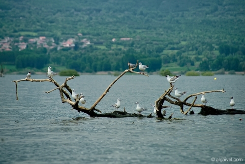 2010-04-24-14-27-07-kerkini