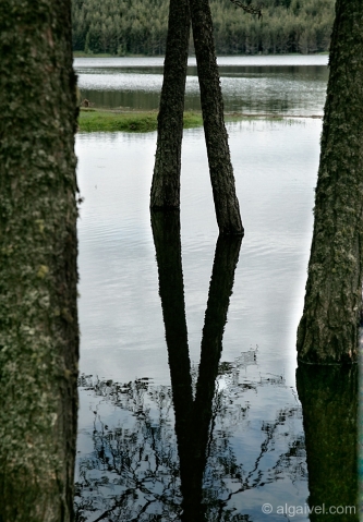 2010-06-05-07-11-27-beglica