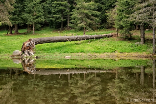 2010-06-05-09-22-14-beglica