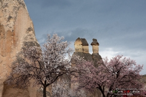 Кападокия.Турция.Cappadocia-38