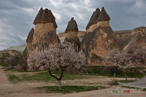 Кападокия.Турция.Cappadocia-40