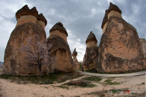 Кападокия.Турция.Cappadocia-42