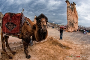 Кападокия.Турция.Cappadocia-43