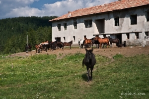 Триград.ПиянатаГора.ЧаирскиЕзера.Чамла72