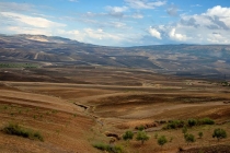 ВолубилисVolubilisМарокоMorocco.وليلي-27