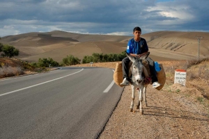 ВолубилисVolubilisМарокоMorocco.وليلي-35