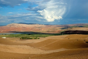 ВолубилисVolubilisМарокоMorocco.وليلي-36