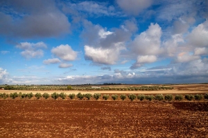 Мекнес.Meknes.Мароко.Morocco..مكناس1