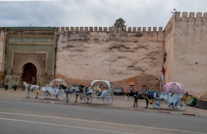 Мекнес.Meknes.Мароко.Morocco..مكناس29