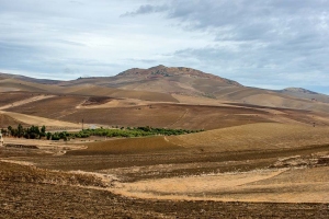 ФесFezМарокоMorocco.فاس.Fes-11