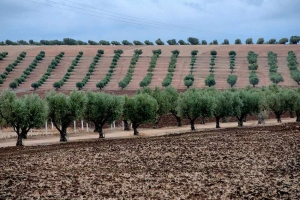 ФесFezМарокоMorocco.فاس.Fes-23