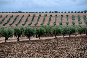 ФесFezМарокоMorocco.فاس.Fes-23