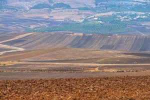 ФесFezМарокоMorocco.فاس.Fes-6