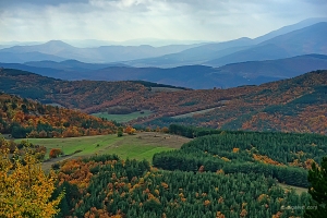 КрепосттаЦепина-11