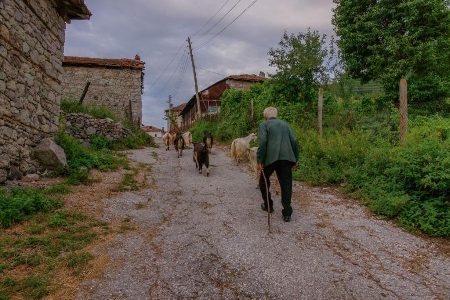 ВъзрастенМъжПрибираКози-1
