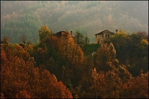 Гълъбово.Родопи12