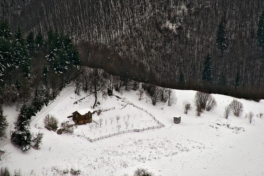 Косово.Родопи.Добралък.-10