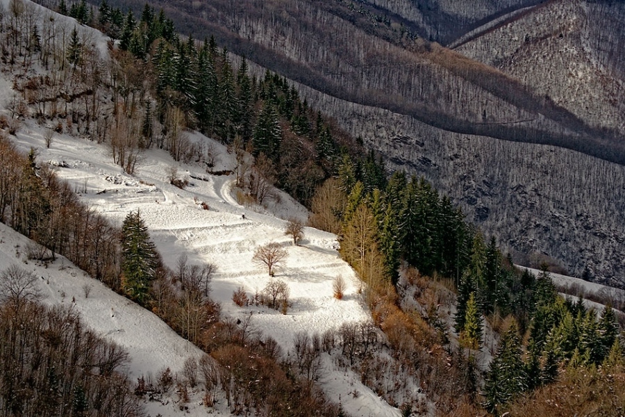 Косово.Родопи.Добралък.-16
